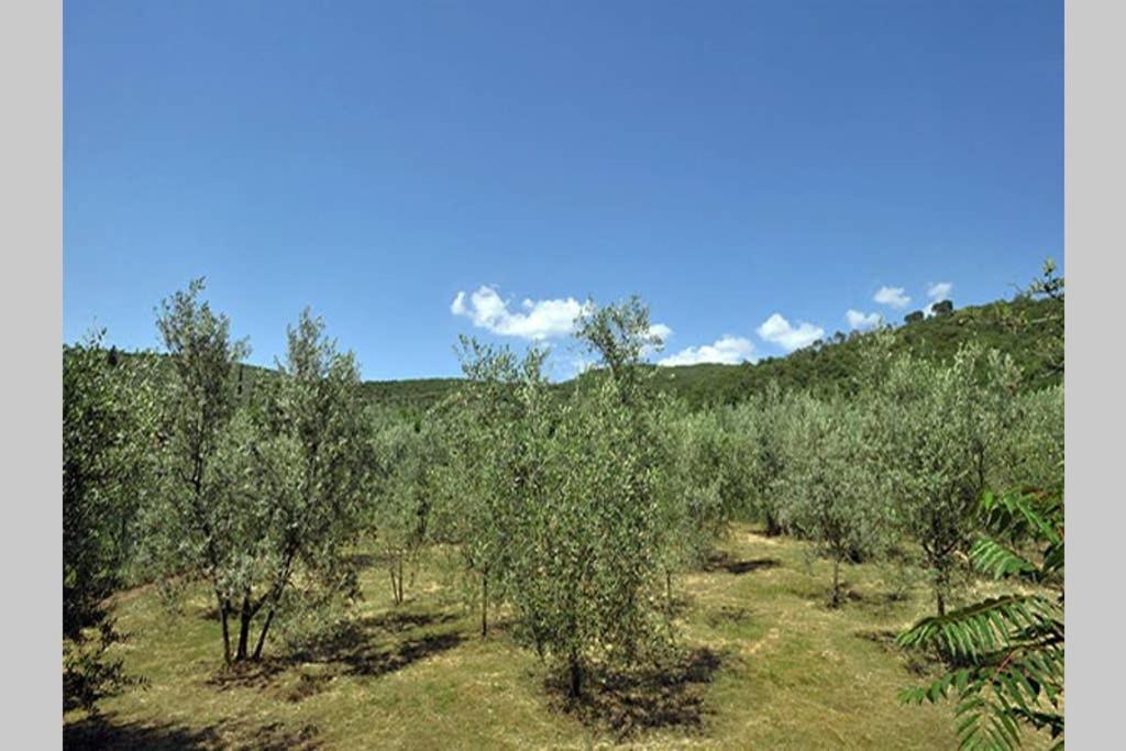 Tuscan Charme Of Cottage Roccaio Countryside Cortona Castiglion Fiorentino Eksteriør billede